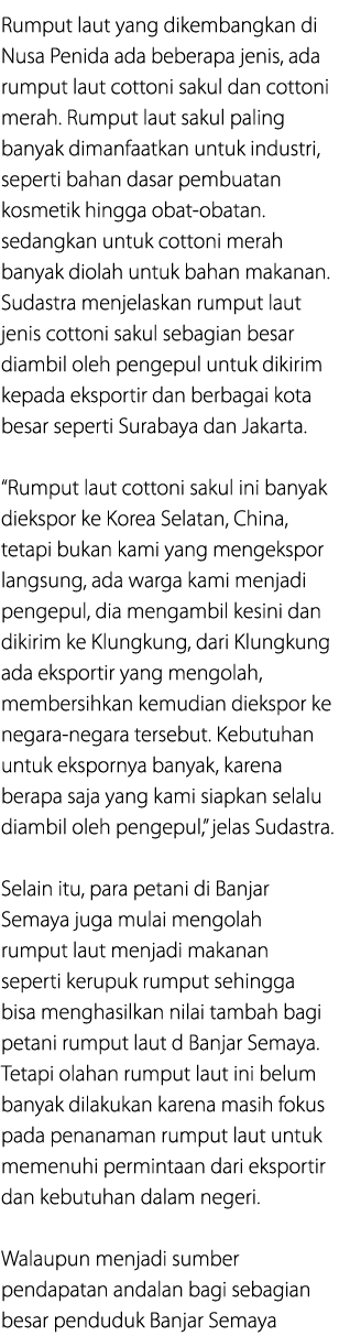 Rumput laut yang dikembangkan di Nusa Penida ada beberapa jenis, ada rumput laut cottoni sakul dan cottoni merah. Rum...