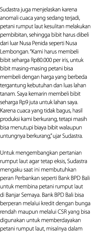 Sudastra juga menjelaskan karena anomali cuaca yang sedang terjadi, petani rumput laut kesulitan melakukan pembibitan...