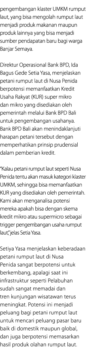 pengembangan klaster UMKM rumput laut, yang bisa mengolah rumput laut menjadi produk makanan maupun produk lainnya ya...