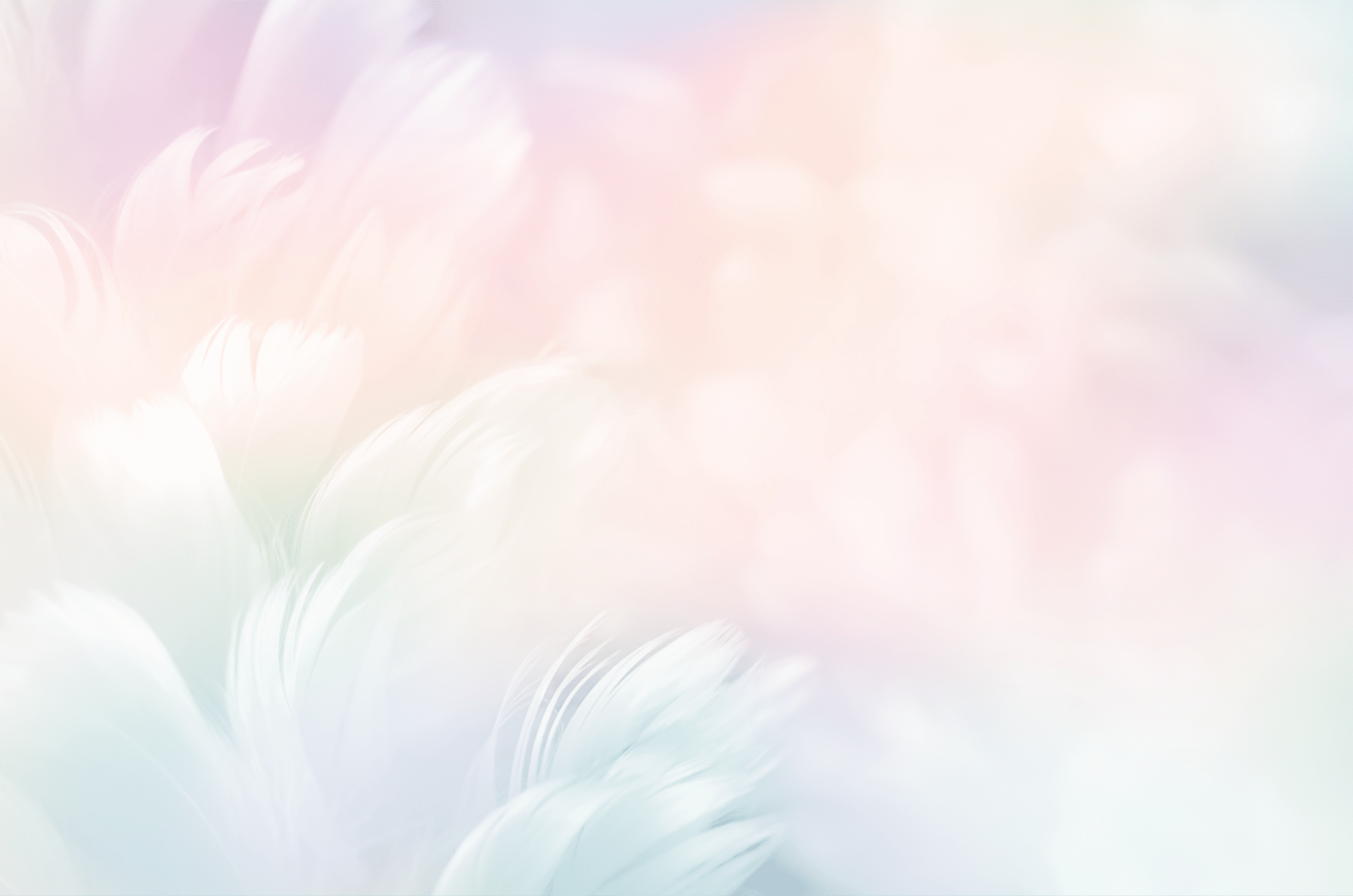 Abstract feather rainbow patchwork background. Closeup image of white fluffy feather under colorful pastel neon foggy mist. Fashion Color Trends Spring Summer 2019 - soft focus.